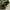 RAGEBLUE Streetwear Gorpcore Pria green photo 4