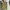 NEPA Casual Casual shirt Pria green khaki photo 5