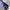 Luxury Minimalist Polo shirt Pria navy blue photo 3