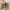 Y2K Bags & Purse Wanita Multicolor Khaki