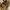 Y2K Bags & purse Wanita multicolor khaki photo 3