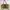 Y2K Bags & purse Wanita multicolor khaki photo 2