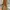 Y2K Bags & purse Wanita multicolor khaki photo 4