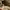 Y2K Bags & purse Wanita multicolor khaki photo 5