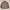 GU Streetwear Casual Harrington jacket Pria tan photo 7