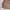 GU Streetwear Casual Harrington jacket Pria tan photo 3
