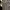 Burberry Casual Polo Shirt Pria Gray