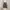 Adidas Casual Sneakers Pria black photo 6