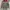 Vintage Blazer Wanita green red photo 1
