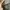 Louis Vuitton Y2K Casual Bags & purse Wanita brown photo 3