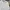 Polo Ralph Lauren Luxury Futurist Formal Shirt Pria White