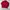 Polo Ralph Lauren Vintage Casual Harrington jacket Pria red photo 3