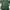 Polo Ralph Lauren Luxury Futurist Polo shirt Pria green photo 2