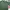 Polo Ralph Lauren Luxury Futurist Polo Shirt Pria Green