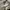 Carhartt Vintage Y2K Pria khaki cream photo 5