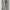 Carhartt Vintage Y2K Pria khaki cream photo 1