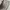 Carhartt Vintage Y2K Pria khaki cream photo 2