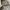 VANS Y2K Skater Short Pria tan cream photo 5