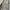VANS Y2K Skater Short Pria tan cream photo 2