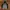 Kappa Streetwear Sportswear Fleece Pria multicolor photo 1