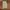 Luxury Casual Leather jacket Pria tan photo 3