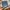 Coach Y2K Coquette Bags & purse Wanita tan blue photo 3