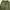 Streetwear Gorpcore Pria green photo 5