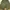 Streetwear Gorpcore Pria green photo 8