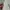 Frank Stone Casual Jumper Pria white photo 7