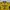 Mizuno Sportswear Jersey Pria yellow photo 3