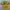 Mizuno Sportswear Jersey Pria yellow photo 2