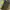 Coach Y2K Bags & purse Wanita green tan photo 6
