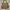 Coach Y2K Bags & purse Wanita green tan photo 2