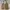 Coach Y2K Bags & Purse Wanita Green Tan