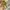 Coach Y2K Bags & purse Wanita green tan photo 7