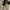 Coach Y2K Bags & purse Wanita green tan photo 8
