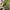 Coach Y2K Bags & purse Wanita green tan photo 4
