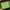 Coach Y2K Bags & purse Wanita green tan photo 5
