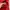Hoodie Stussy Skull Red photo 5