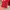 Hoodie Stussy Skull Red photo 7