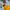 The North Face Minimalist Casual Windbreaker Kids orange yellow photo 3