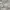 Balenciaga Avant Garde Casual Casual dress Wanita white photo 5
