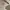 Balenciaga Avant Garde Casual Casual dress Wanita white photo 3