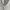 Balenciaga Avant Garde Casual Casual dress Wanita white photo 4
