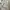 Balenciaga Avant Garde Casual Casual dress Wanita white photo 1