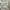 Balenciaga Avant Garde Casual Casual Dress Wanita White