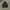 Uniqlo Gorpcore Puffer jacket Pria black photo 1