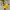 The North Face Minimalist Casual Windbreaker Kids black yellow photo 1