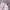 Luxury Casual Blouse Wanita white pink photo 4