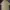 Stussy Vintage Polo shirt Pria tan photo 1